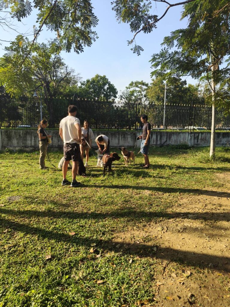 Bangkok outdoor activities - Jasmine Hotel Group