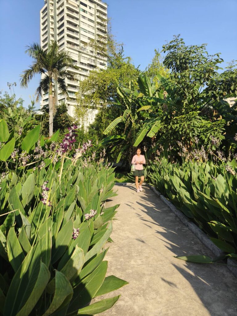Benjakitti Park sunset walk - Jasmine Hotel Group