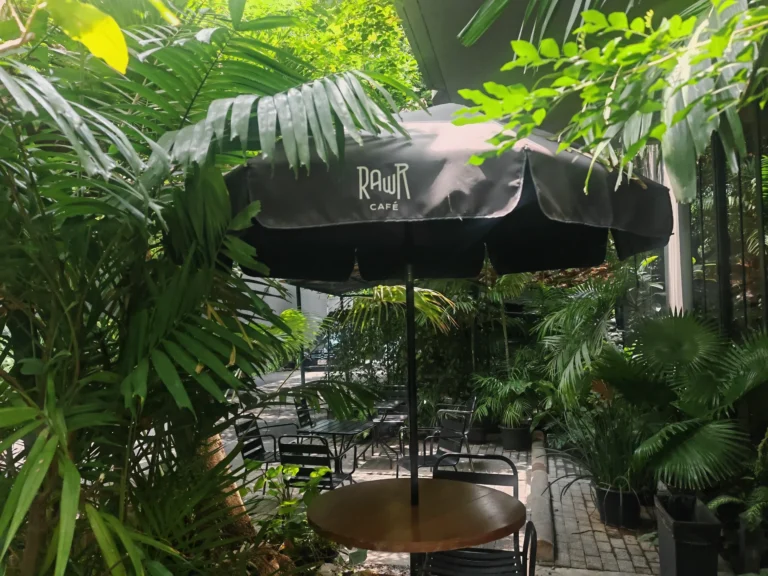 work-friendly cafe Phra Khanong